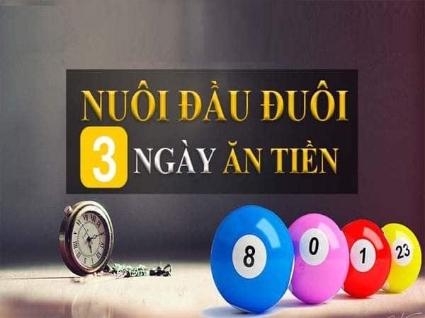 bí kíp nuôi đầu đuôi khung ba ngày