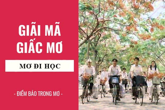 Mơ đi học điềm báo gì?