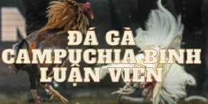 Đá gà Campuchia bình luận viên ảnh bìa