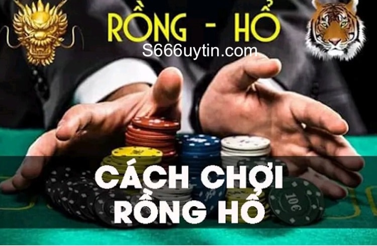 soi cầu rồng hổ online