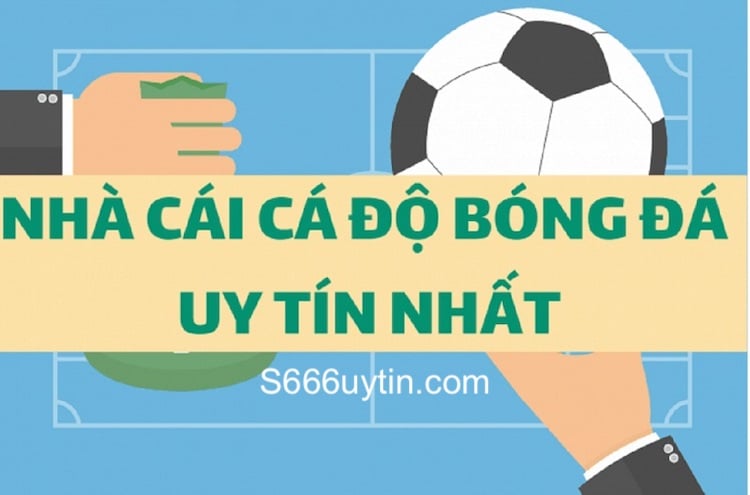 trang web cá cược bóng đá